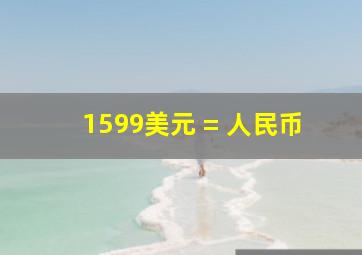 1599美元 = 人民币